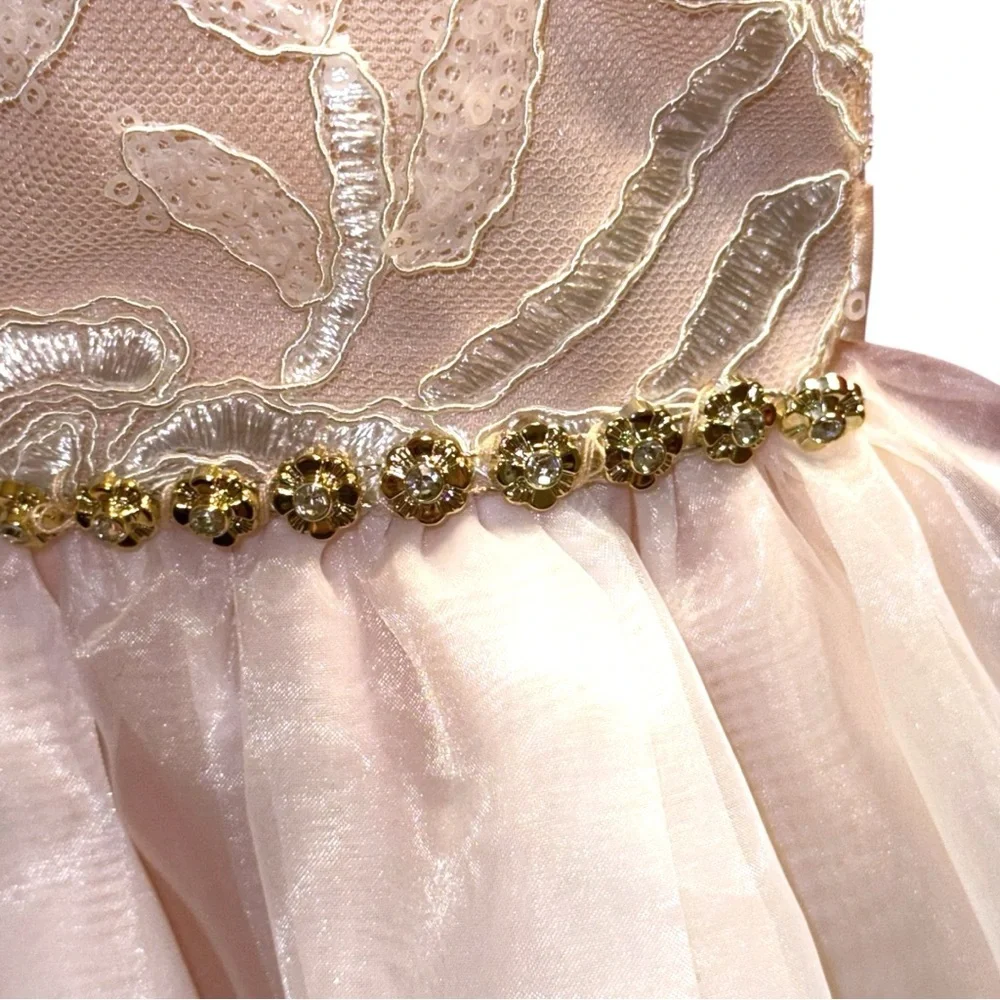 Rare Editions Girls Blush Floral Embroidered Formal Dress Size 10 - Picture 5 of 8
